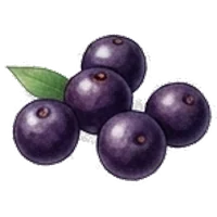 Acai Berry