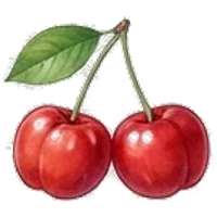 Acerola