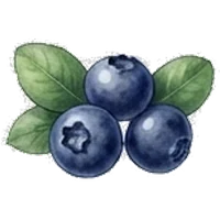 Bilberry