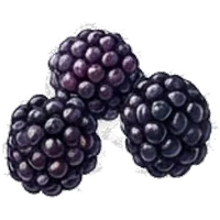 Blackberry