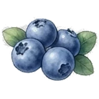 Blueberry