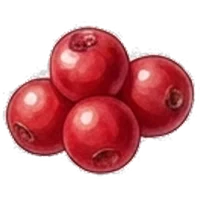 Cranberry