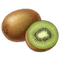 Kiwi
