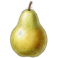 Pear