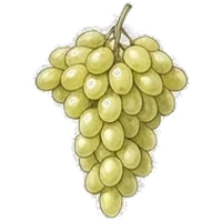 White Grape