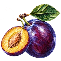 Plum